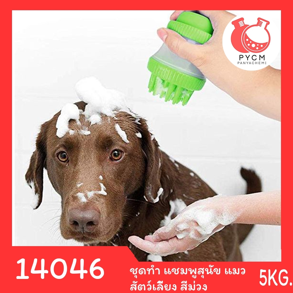 14046 PYCM-160 ชุดทำ แชมพูสุนัข แมว สัตว์เลี้ยง สีม่วง – 5kg