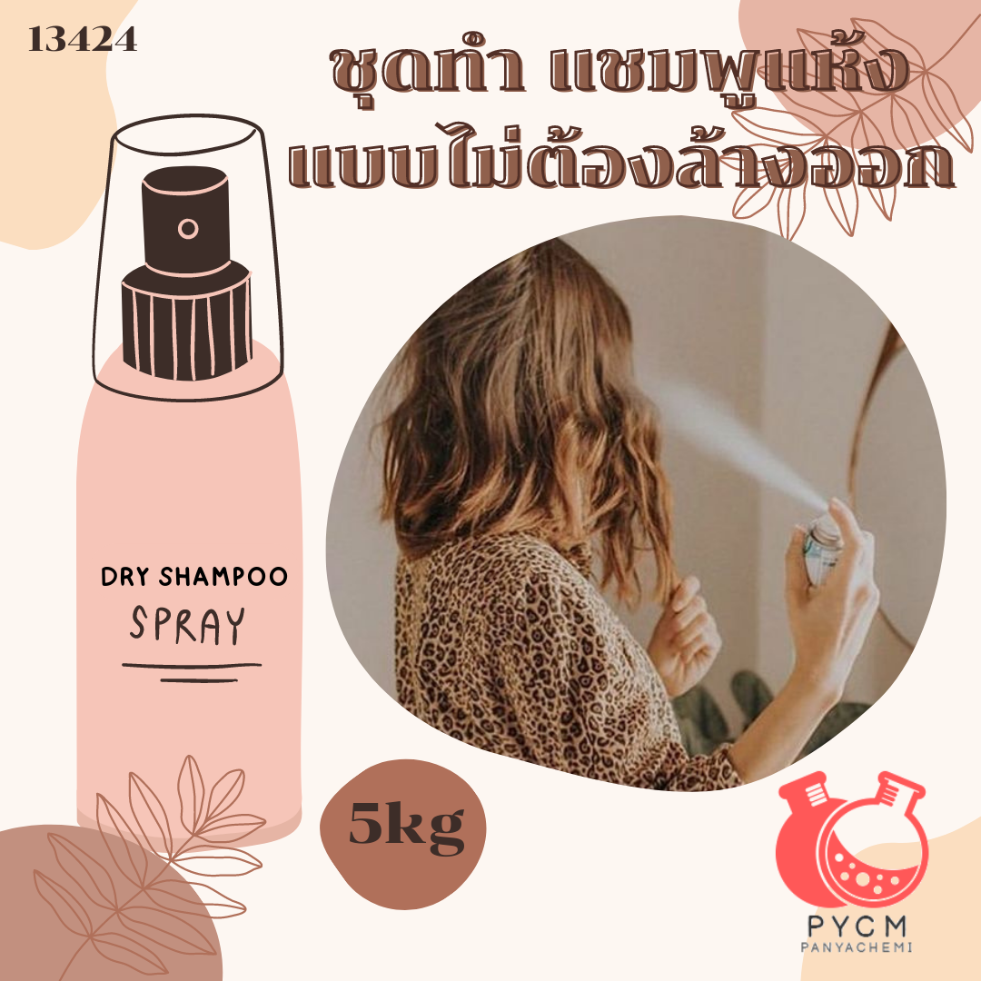 13424 ชุดทำ แชมพูแห้ง แบบไม่ต้องล้างออก